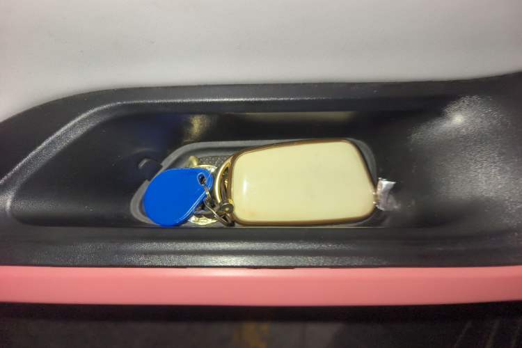 Used Chery Little Ant 2022 Restyled Version Sweet Pink Edition Low-Sugar Version Lithium Iron Phosphate Battery 30.7 kWh 30 kW 301 km
