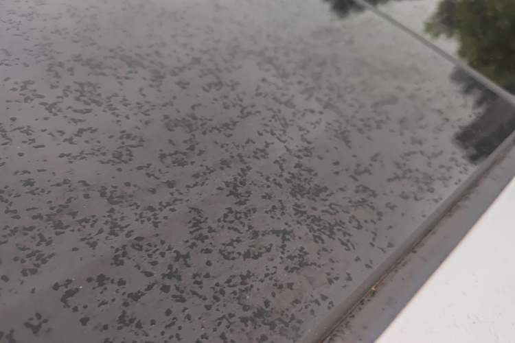 Used Volkswagen Sagitar 2024 300TSI DSG Excellence Edition