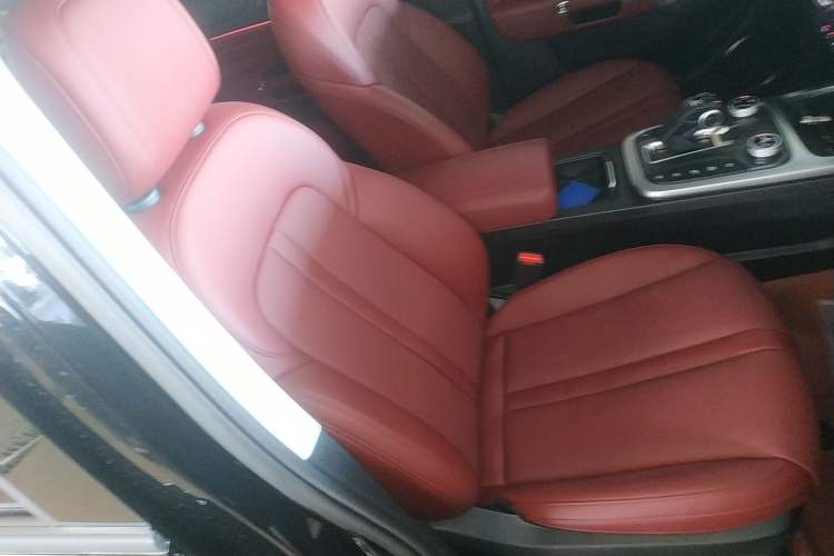 Used Tank 300 2024 2.0T Conqueror