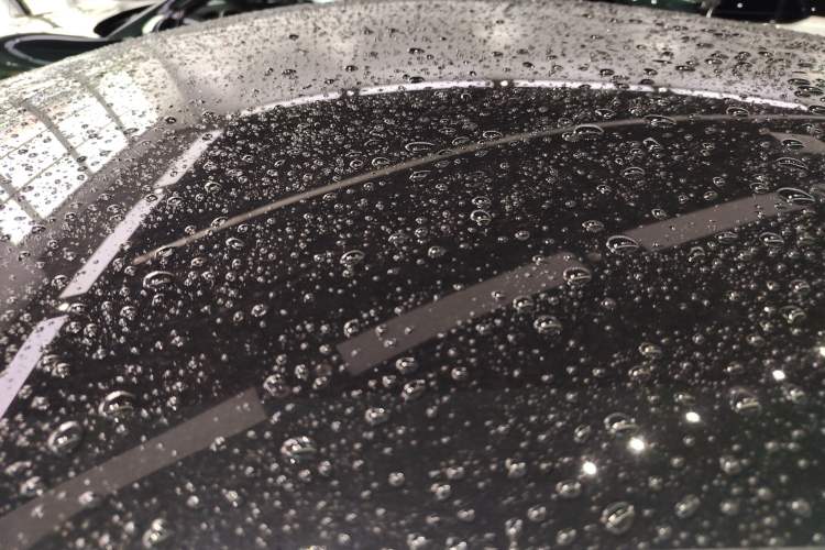 Used Tesla Model Y 2023 Rear-Wheel-Drive Version Roof