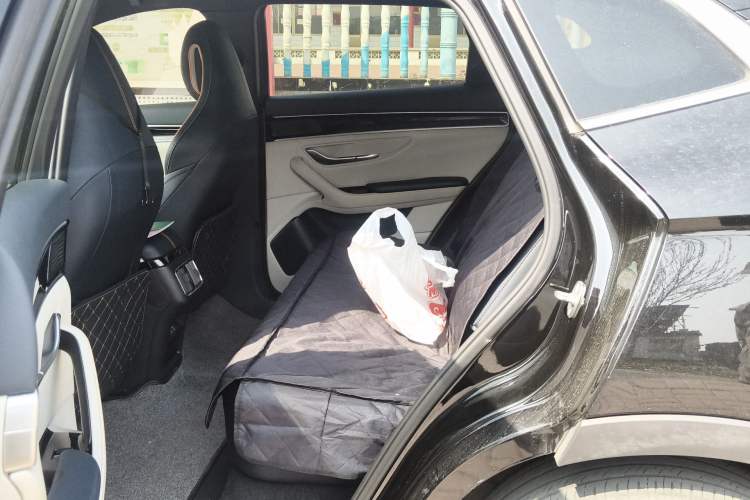 Used BYD Song PLUS New Energy 2021 DM-i 110KM Flagship PLUS Left Rear Seat