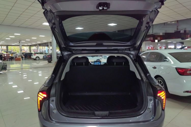 Used NETA V 2021 Long-Range Entertainment Edition Upgrade Model
