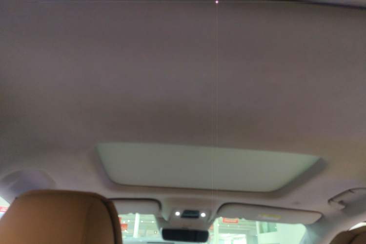 Used Denza D9 2022 DM-i 970 Four-Wheel Drive Flagship Model Headliner