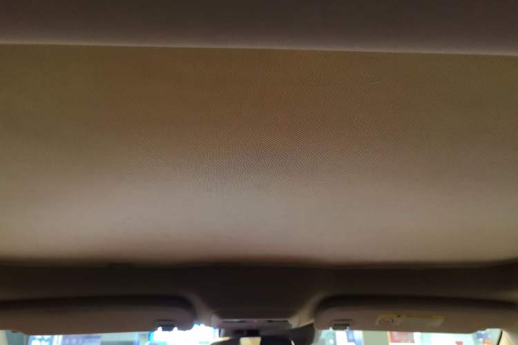 Used XPeng P7 2020 670N Headliner