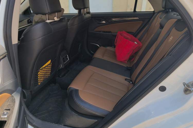 Used BYD Qin New Energy 2017 1.5T Luxury Model Left Rear Seat