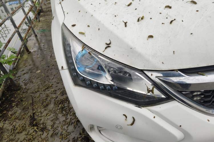 Used BYD Song 2016 GaiShi Edition 1.5TI Manual Elite Model Right Front Headlight