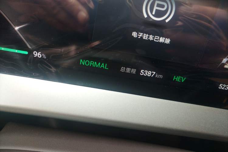 Used Denza D9 2024 DM-i 980 Four-Wheel Drive Prestige Model Odometer Close Up