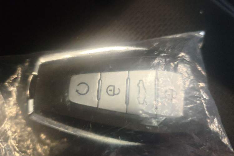 Used Geely Auto Binray 2022 Binrui COOL 1.5T DCT Windstorm Edition Vehicle Key