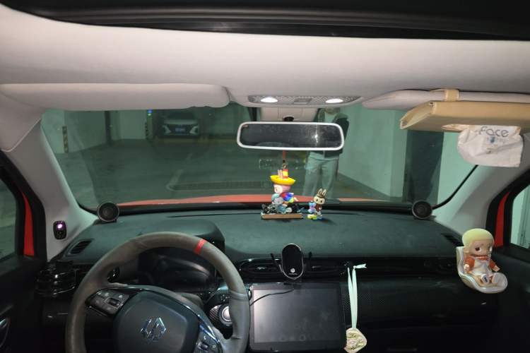 Used Leapmotor T03 2021 400 Luxury Edition Headliner