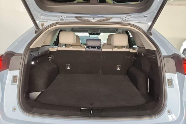 Used Wey Mocha 2021 2.0T Two-Wheel-Drive Premium Edition
