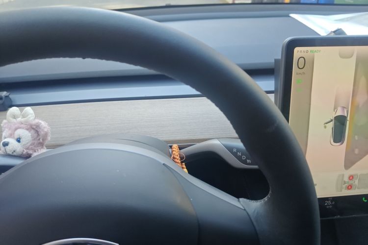 Used Tesla Model 3 2022 Rear-Wheel-Drive Version
