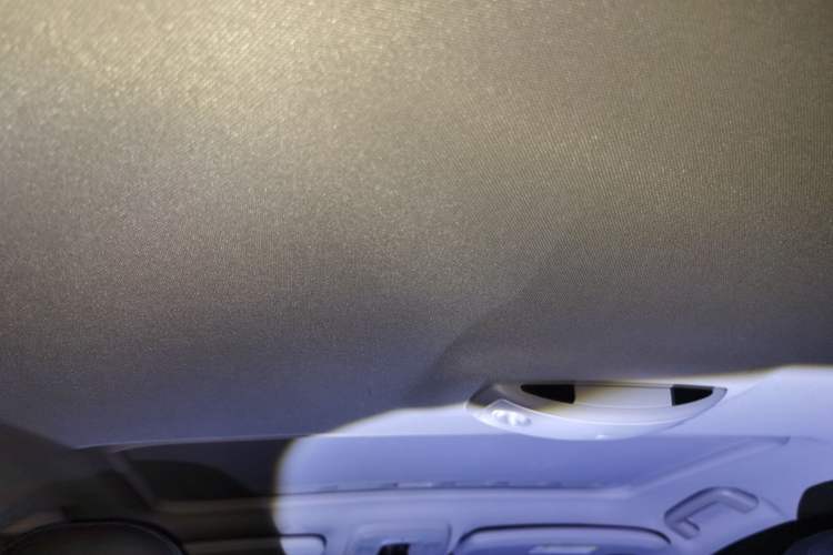 Used Volvo S60 2019 S60L Facelift T5 Intelligent Advanced Edition Headliner