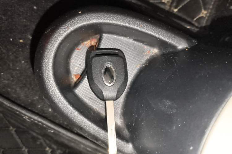 Used ORA Black Cat 2019 351 km Goddess Edition