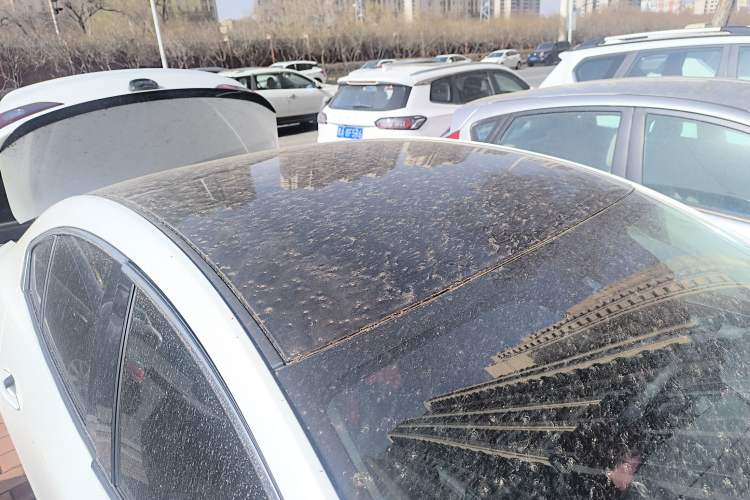 Used Mazda 3 Axela 2020 1.5L Automatic ZhiMei Edition
