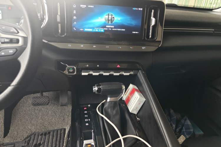 Used Baojun Valli 2021 1.5T Yili Pasture CVT Luxury Model
