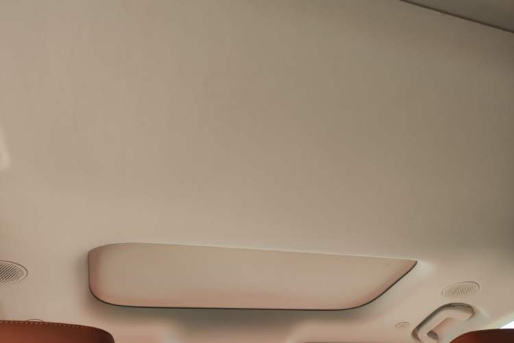 Used Wey Lanshan 2025 Four-Wheel Drive Max Headliner