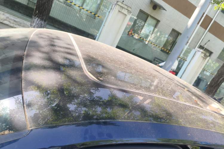 Used Volkswagen Magotan 2020 330TSI DSG Luxury Edition Roof