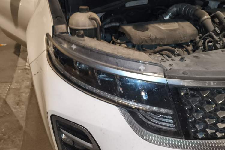 Used Kia KX5 2019 1.6T Automatic Two-Wheel Drive Luxury Edition