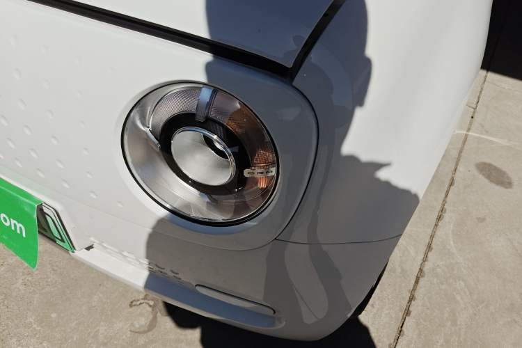 Used ORA Black Cat 2021 301km Cute Pet Edition