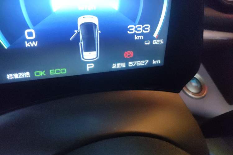 Used BYD Dolphin 2021 405 km Free Version Odometer Close Up