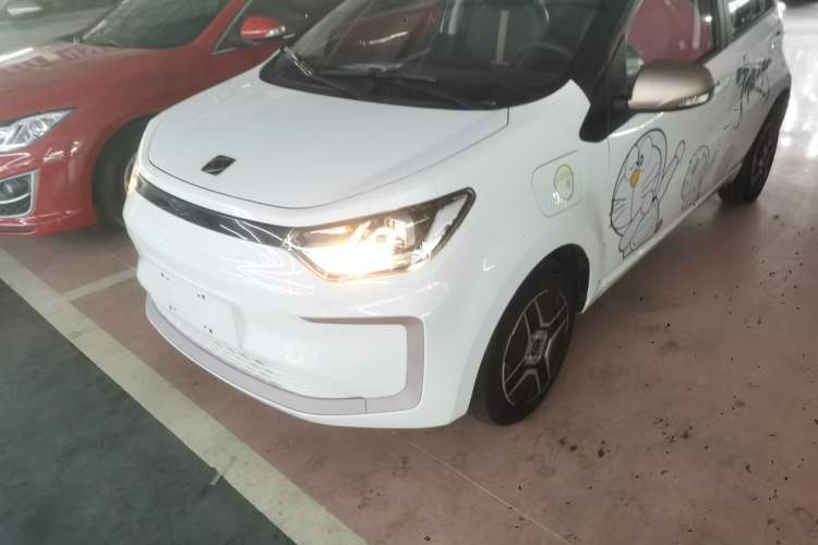 Used SOL E10X 2022 Flower Fairy Design Four-Leaf Clover