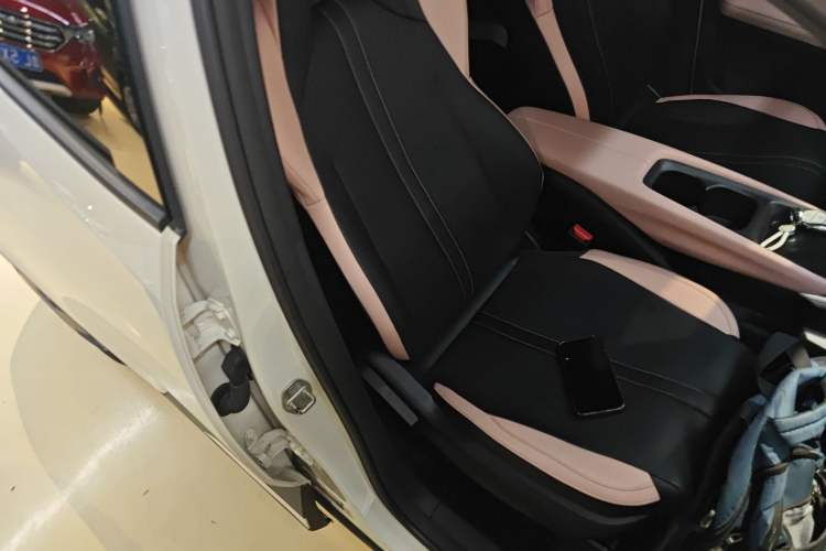 Used BYD Seagull 2023 Active Version Right Front Seat