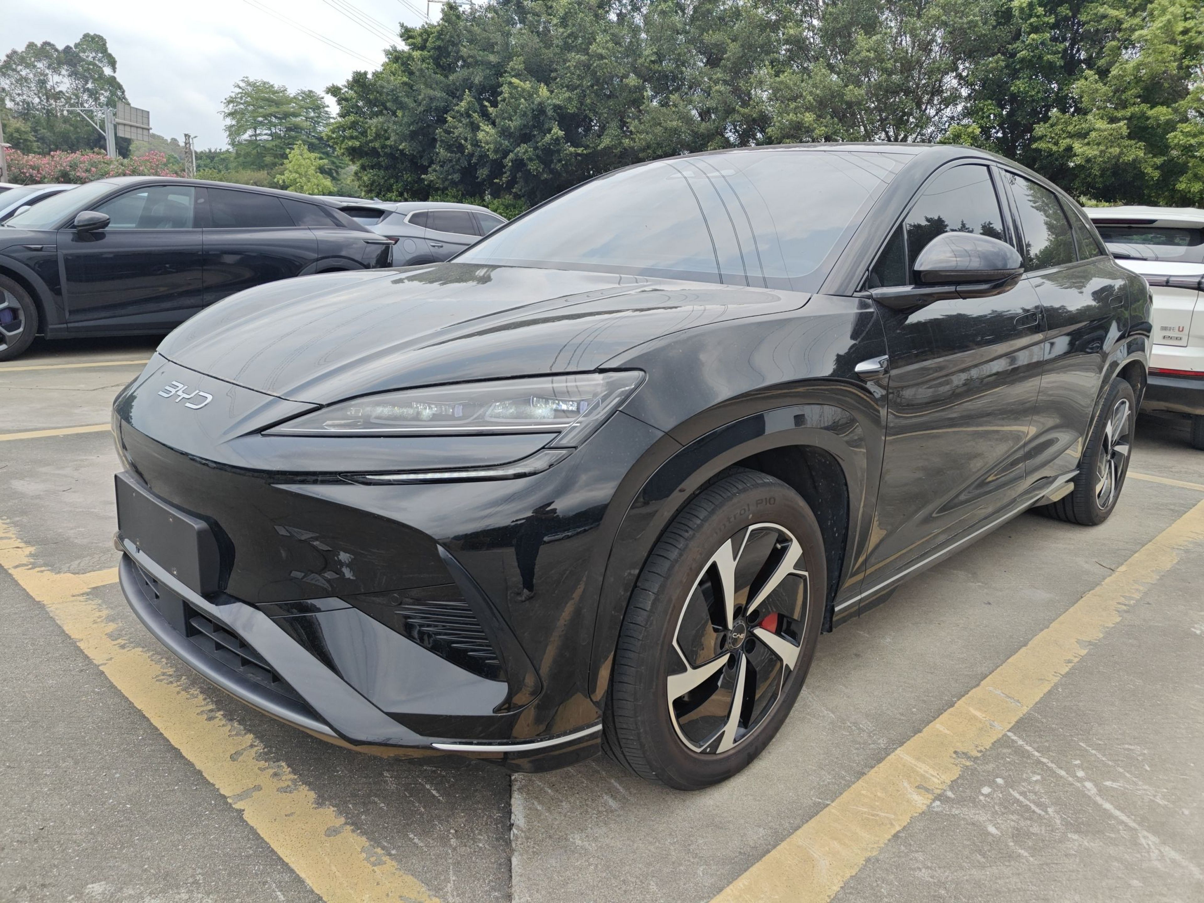 Parte inferior delantera