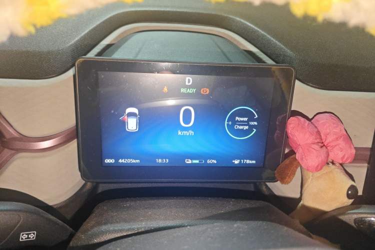 Used SOL E10X 2022 Flower Fairy Design Sunflower
