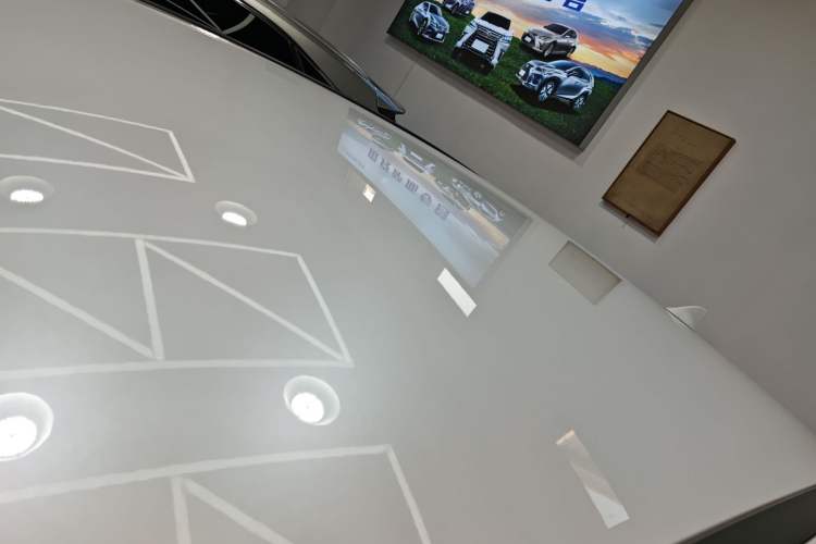 Used Lexus NX 2024 350h Front-Drive Xinchu Version