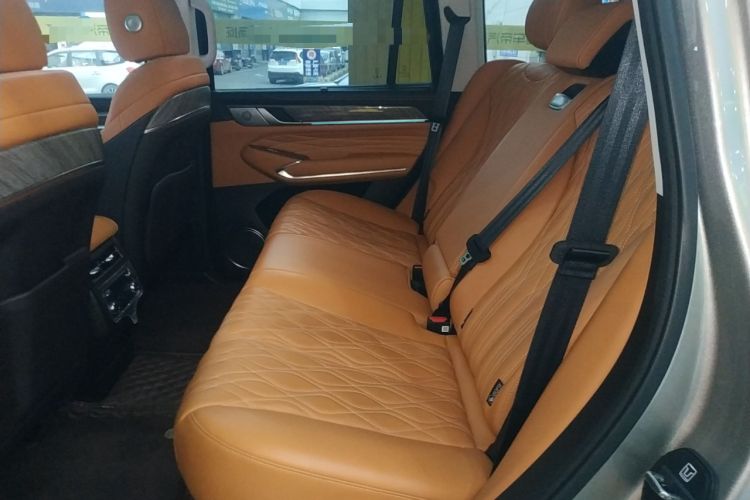 Used Tank 500 New Energy 2024 Hi4-T Left Rear Seat