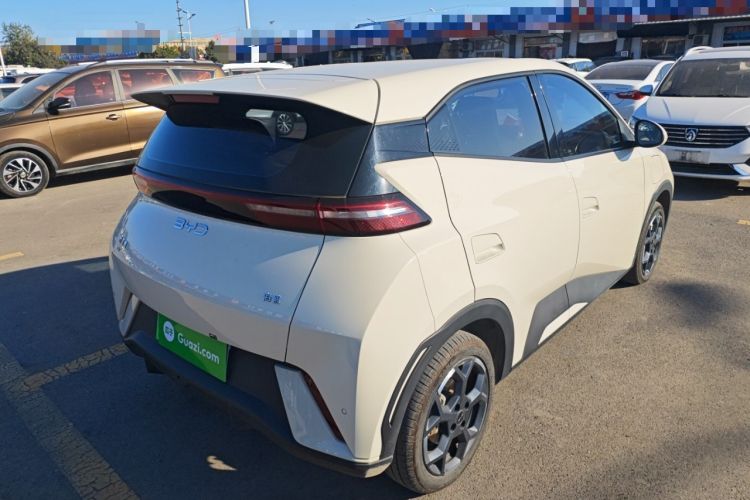 Used BYD Seagull 2024 Honor Edition 305km Freedom Version
