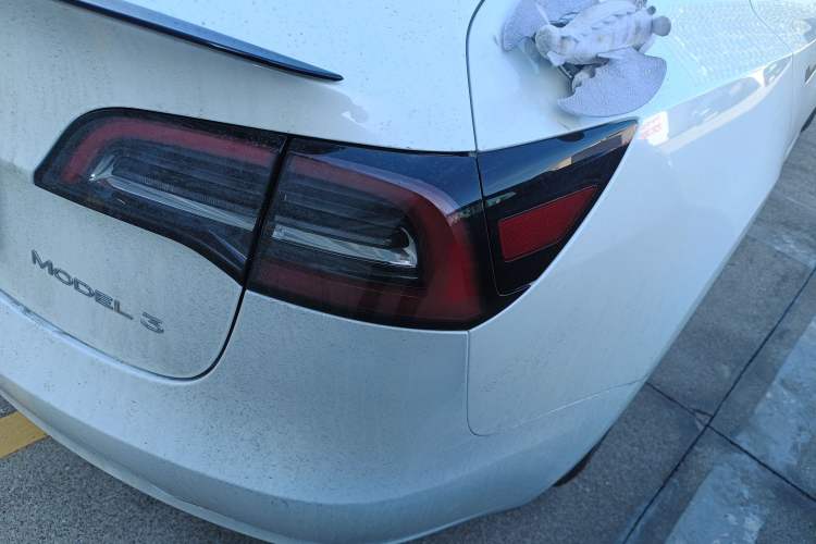 Used Tesla Model 3 2022 Rear-Wheel-Drive Version
