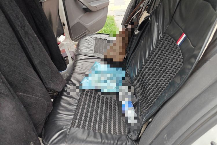 Used Volkswagen Santana 2013 1.6L Automatic Fashion Edition Left Rear Seat