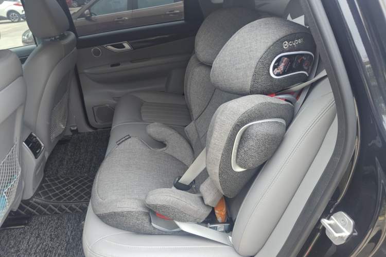 Used Denza 2017 Stylish Edition