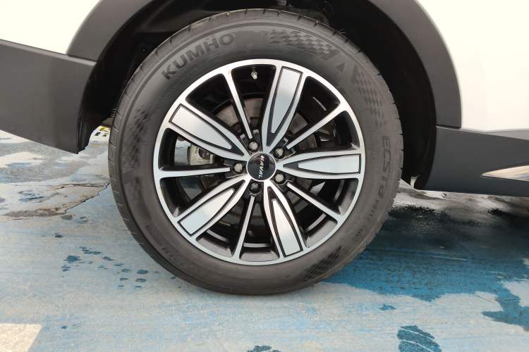 Used Haval H6 2023 National Trend Edition 1.5T Automatic Champion Version