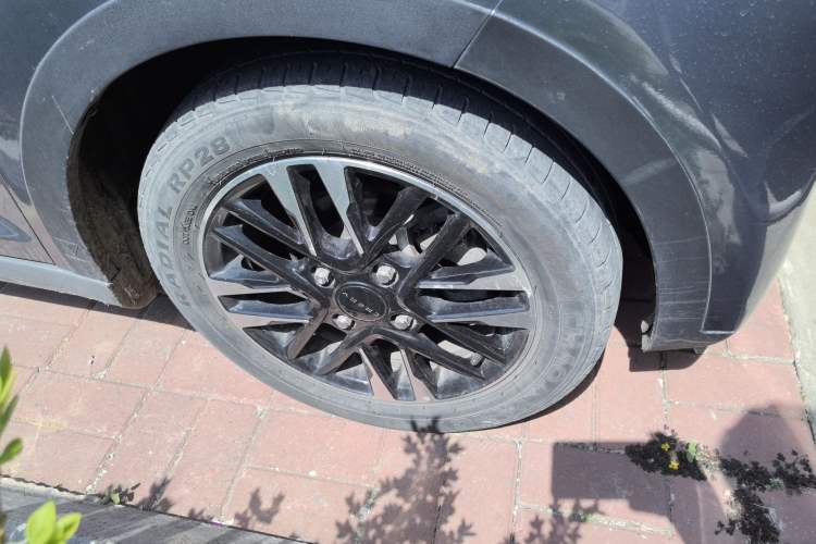 Used Chery Little Ant 2022 Sweet Pink Edition Half-Sugar Version 3-Cell Lithium 30kW 301km