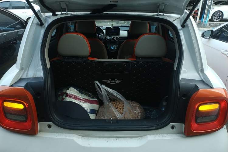 Used ORA Black Cat 2019 351 km Goddess Edition Trunk