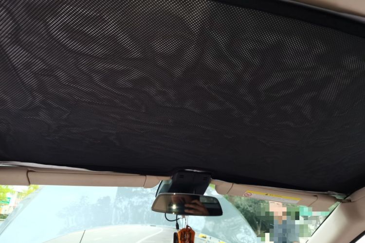 Used XPeng G3 2020 520i Luxury Edition Headliner