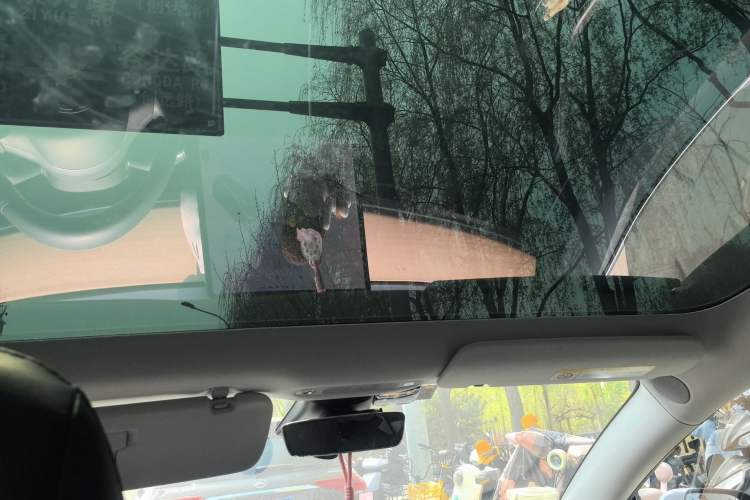 Used Tesla Model 3 2019 Standard Range Rear-Drive Upgraded Version Headliner