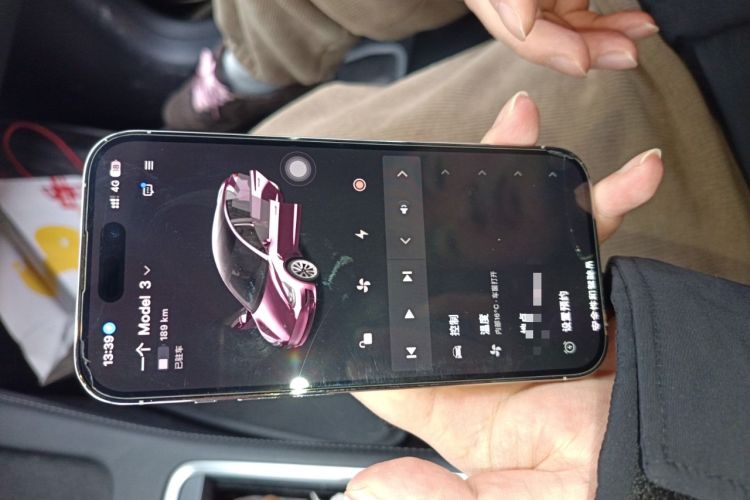 Used Tesla Model 3 2022 Rear-Wheel-Drive Version