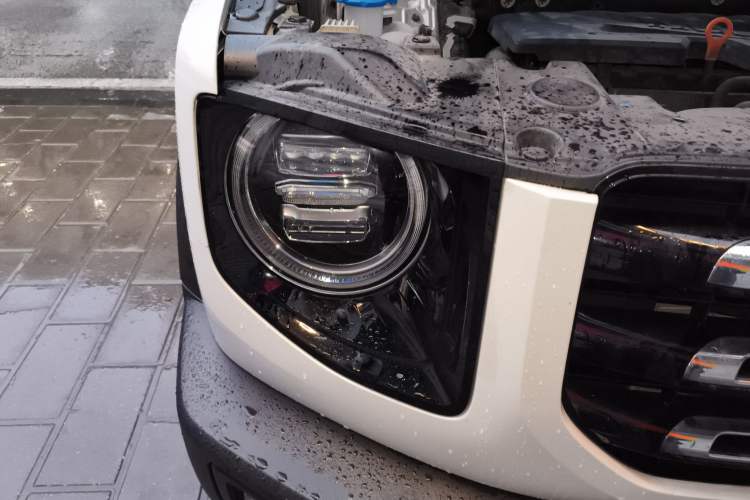 Used Haval DARGO 2021 1.5T DCT Two-Wheel Drive Labrador Edition