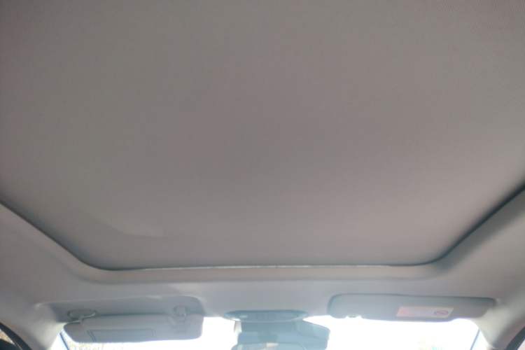 Used AION Y 2023 Plus 610 Smart Edition Ternary Lithium Headliner