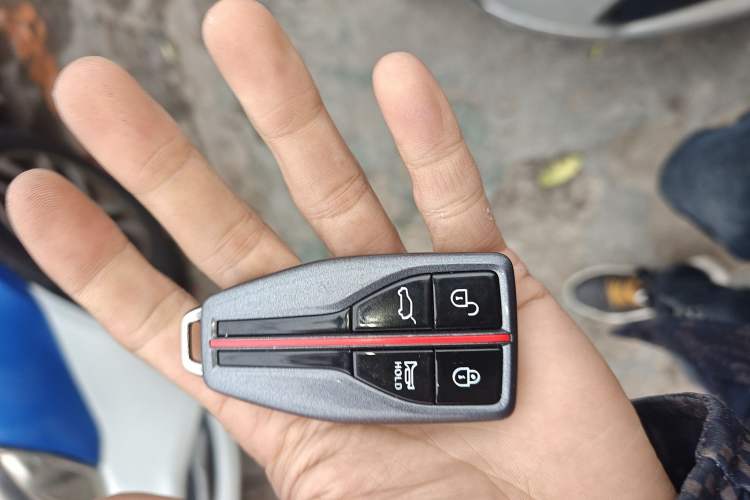 Used Hongqi HS5 2022 2.0T Smart Connect Flagship Edition