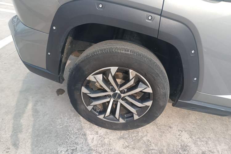 Used Haval H Dog 2023 2.0T Two-Wheel Drive Chaoye Version Plus
