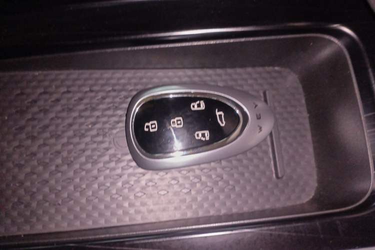 Used Wey Gaoshan 2023 Four-Wheel Drive Flagship Edition
