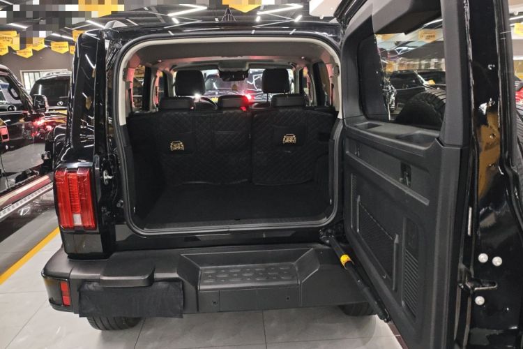 Used Tank 300 2024 2.0T Crosser
