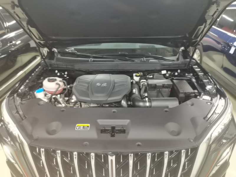 Used Hongqi HS5 2023 2.0T Qixiang Pro Edition — 19