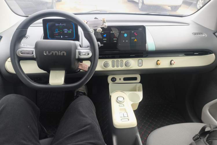 Used Qiyuan Lumin 2023 205km Xiangqin Version