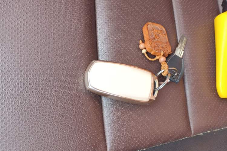 Used Geely Auto Vision 2018 1.5L Automatic Happiness Edition
