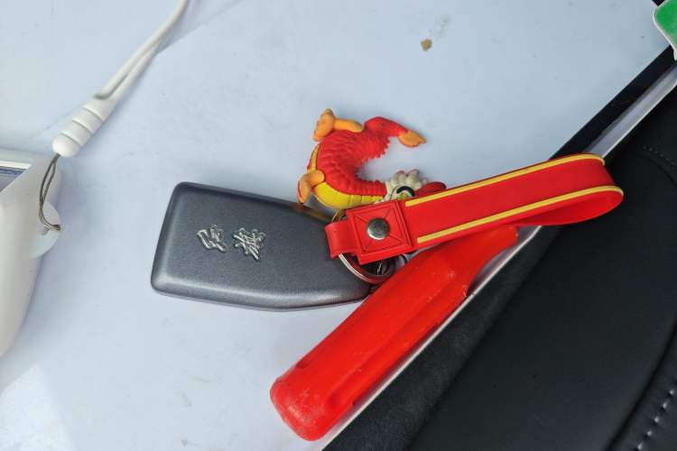 Used Hongqi HS5 2019 2.0T Smart Connect Flagship Edition Vehicle Key